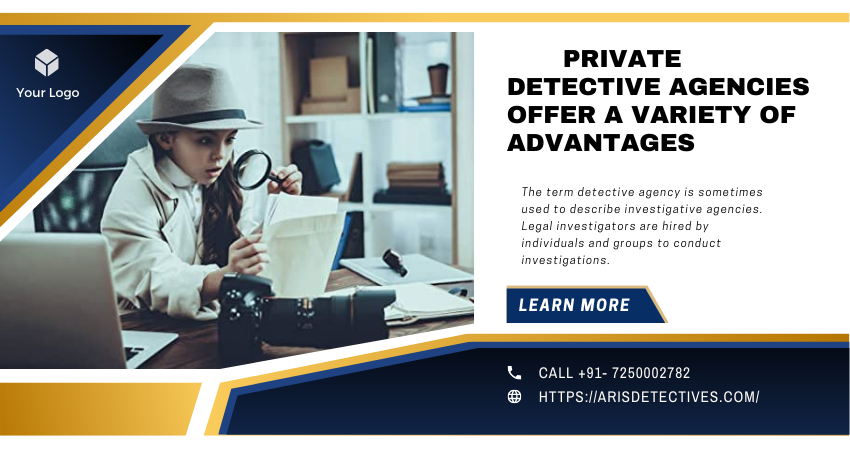 Private Detective Agencies
